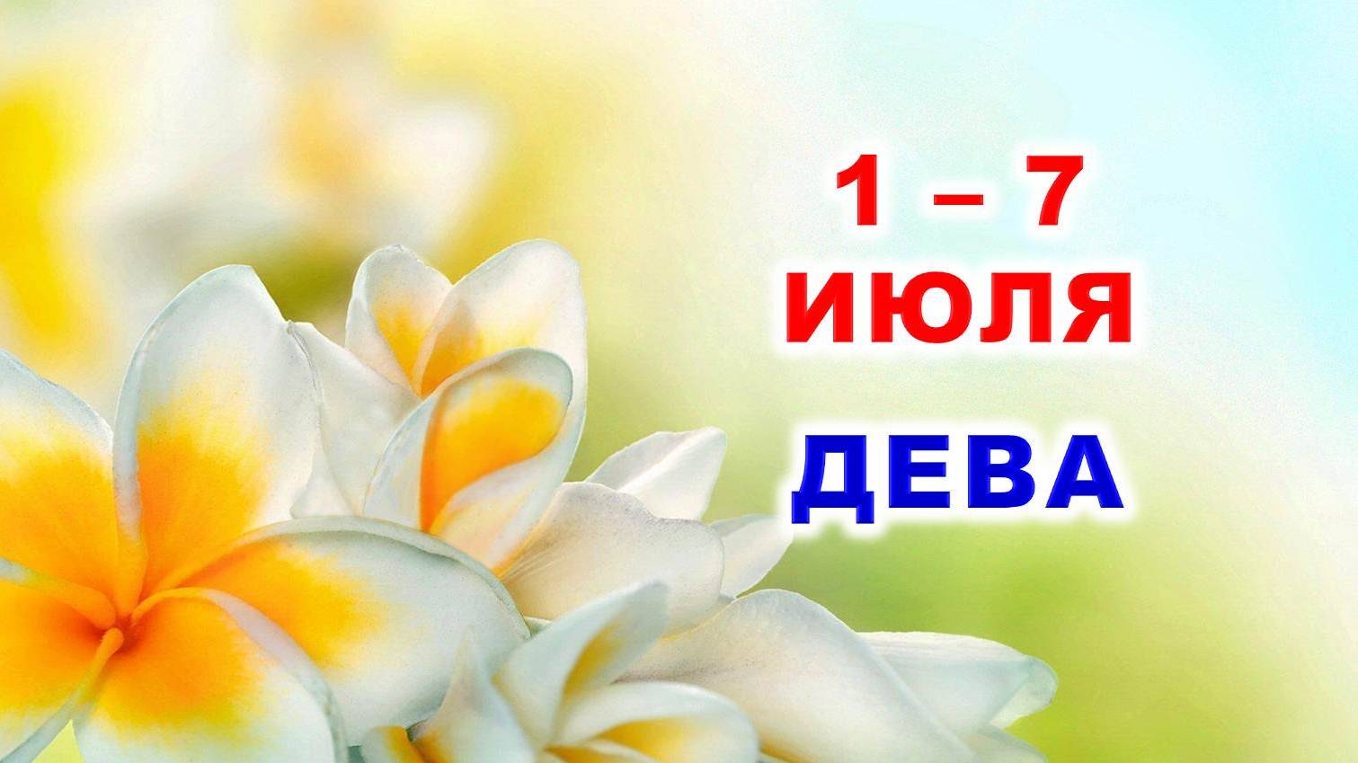 ♍ ДЕВА. 🏵 С 1 по 7 ИЮЛЯ 2024 г. 🌞 Таро-прогноз 🌟