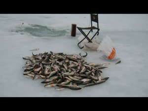 Лучший способ самоизоляции на карантине !!! Окунь как из пулемёта!!! Рыбалка 2022!!!