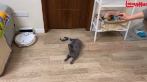 Игрушка для домашних питомцев