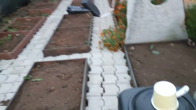 8 ноября 2023 года, собираем урожай смотреть онлайн