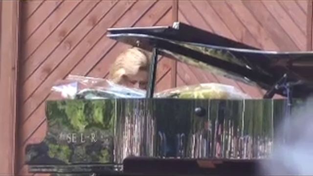 ВАРИАЦИИ НА ТЕМУ РОМАНСА   ХРИЗАНТЕМЫ   ОКСАНА ПЕТРИЧЕНКО смотреть онлайн