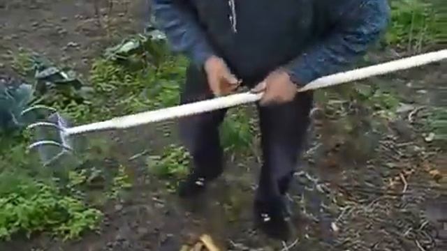 Видеообзор сапки просапки 3 в 1 тяпка, рыхлитель и грабли смотреть онлайн