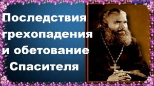 Последствия грехопадения и обетование Спасителя - Протоиерей Серафим Слободской. Закон Божий