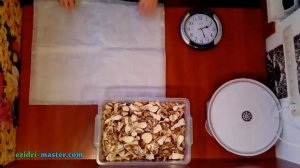 Как сушить белые грибы в электросушилке? Приготовление грибного порошка