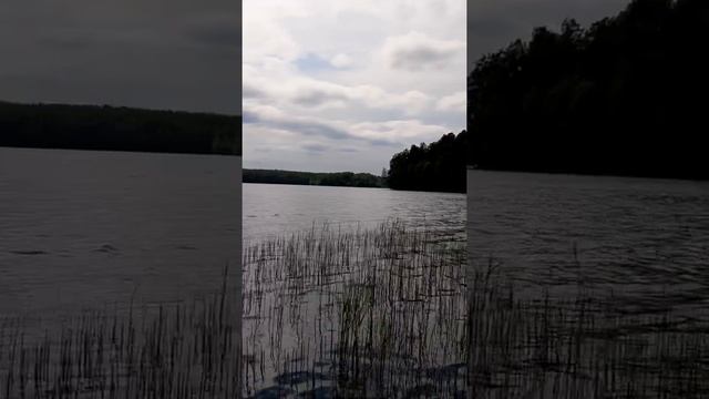 Хари катха Луне, упайя Луне, слушать по пн смотреть онлайн