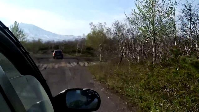 Кедрач вдоль дороги от Котельникова озера (около Петропавловска- Камчатского)
