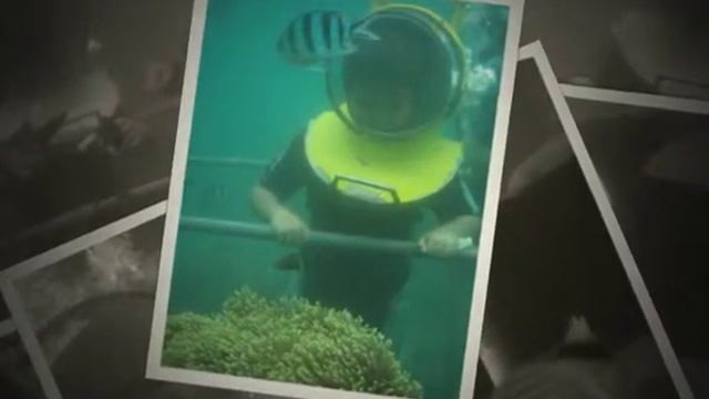 Bali - SeaWalker @ Nusa Dua Beach смотреть онлайн