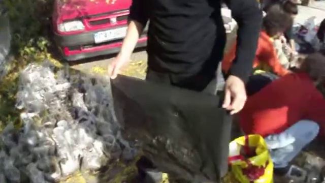 Засаждане на Дъбови жълъди за фиданки 5.11.11 - Greenteam Bulgaria-3 смотреть онлайн