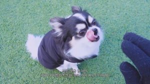 [Русская озвучка Kadza] Хенджин:  Выходные Хённи 1