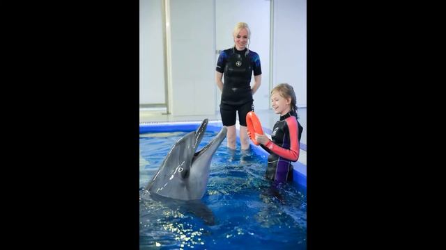 Москвариум, плавание с дельфинами смотреть онлайн