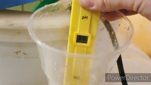 // ПОДКОРМКИ КЛУБНИКИ //