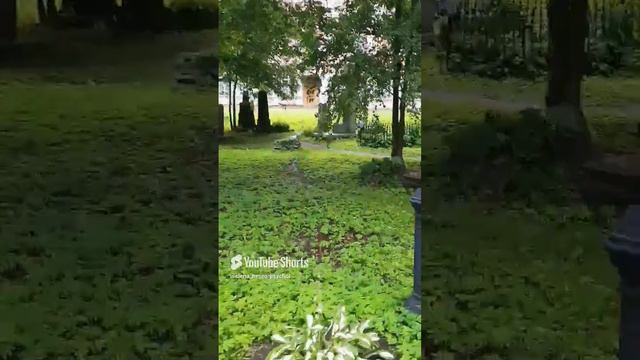 Александро-Невская лавра в советское время | Любимая Россия #моипутешествия #питер