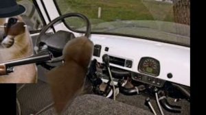 БРАТ ЗА БРАТА 3 часть