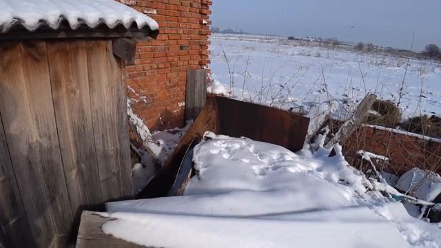 Итог откорма/Планы на лето смотреть онлайн