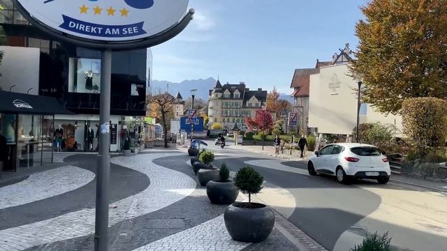 Кошка Анфиса  охотится на кота Арчи смотреть онлайн