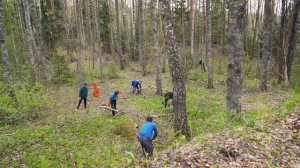 Волонтерская поездка в Себеж (май 2022)