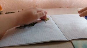 Показываю как делать гербарий!