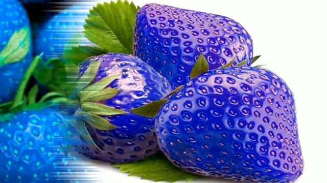 RARE BLUE STRAWBERRY PLANT ! смотреть онлайн