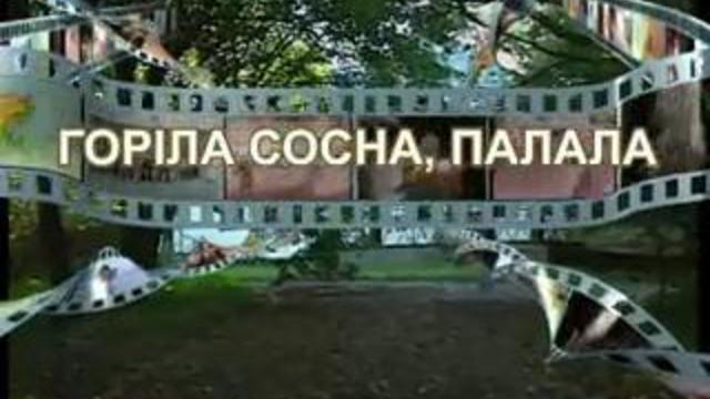 Горiла сосна, палала.avi смотреть онлайн