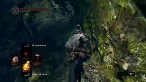 ГАЙД Где найти ТРАВЯНОЙ ЩИТ /ОТМЫЧКА и как ее использовать в начале игры - [Dark Souls]