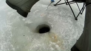 Рыбалка. Зимний фидер и мормышка. Истринское водохранилище.