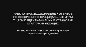 SHOT +МСБ: ежедневная работа агента по расследованию суи-игр