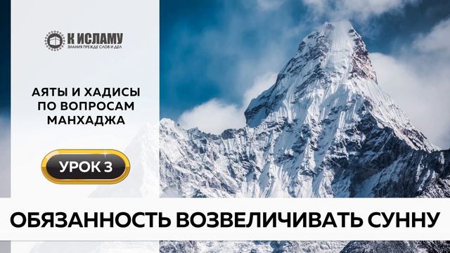 03. Обязанность возвеличивать Сунну | Аяты и хадисы по вопросам манхаджа. Ринат Абу Мухаммад