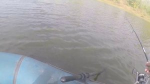 Ловля щуки на спиннинг осенью с лодки,видео rybachil.ru