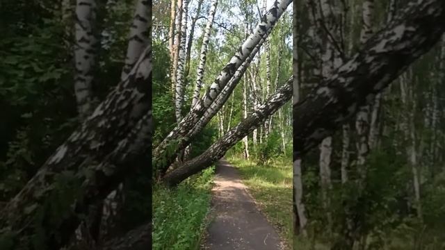 Осторожно - "дамоклов меч" на Заре.