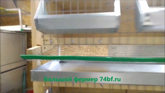 Клетки для перепелов деревянные из фанеры сборно разборные от производителя Большой фермер смотреть онлайн