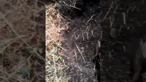 Что можно найти с металлоискателем МД 4030.