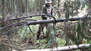 тест Silky NATA 240mm