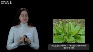 Охрана растений. Видеоурок 12. Окружающий мир 3 класс