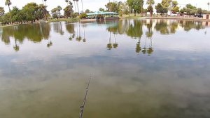 Episode 12 Chaparral Lake and Eldorado Pond - Phoenix Community Fishing Lakes & Ponds