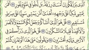 Сура "Аль-Мульк" № 67. Аяты 20-26. #коран #мекка #мульк #таджвид