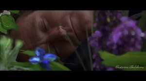 Green Fields - Brothers Four (cover by Ekaterina Shelehova)