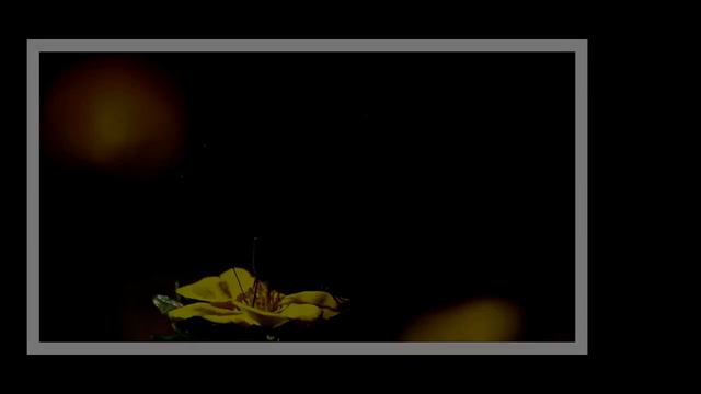 И.С. Бах Прелюдия До мажор. Лучшая классическая музыка! смотреть онлайн