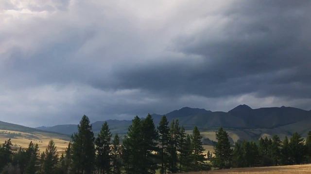 Алтай. Курайская степь.