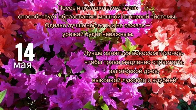 ЛУННЫЙ ПОСАДОЧНЫЙ КАЛЕНДАРЬ на МАЙ 2021. По дням. смотреть онлайн