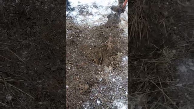 Весенний коп по снегу смотреть онлайн