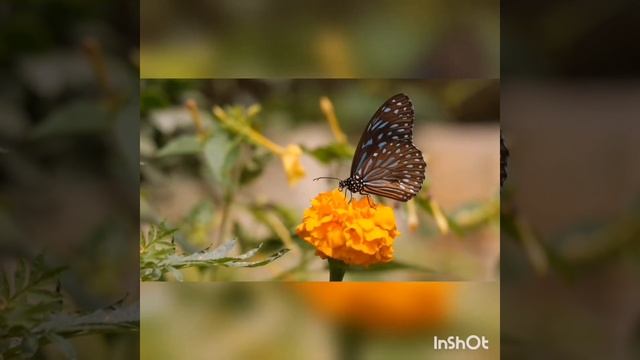 Медитация "Бог - есть Любовь" смотреть онлайн