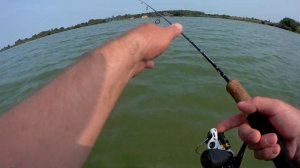 14.08. 19. Ловля окуня в отвес на твистеры и в проводку