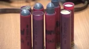 Житель Череповецкого района хранил дома арсенал оружия