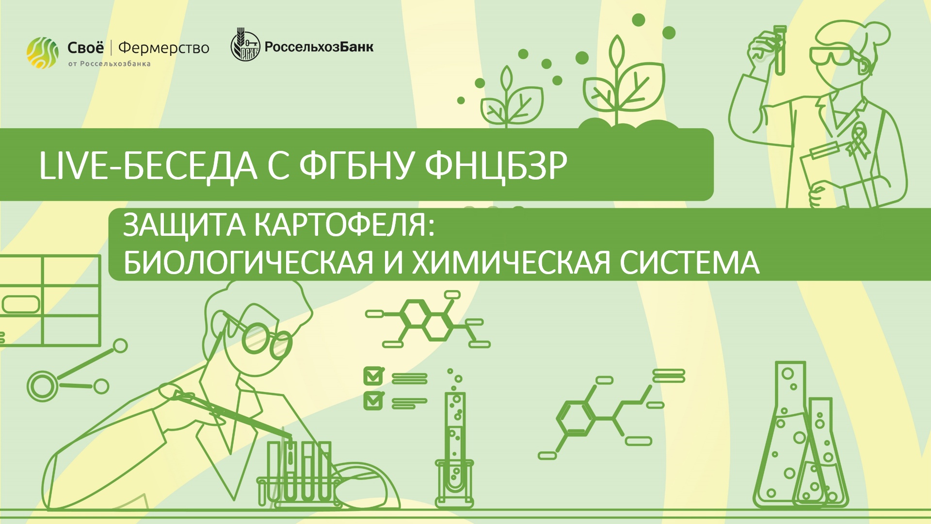 Защита картофеля: биологическая и химическая система