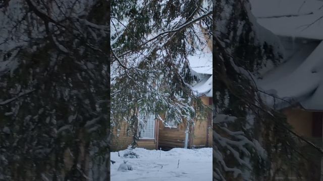 Зимняя прогулка в Пенаты. Музыка с зимним настроением