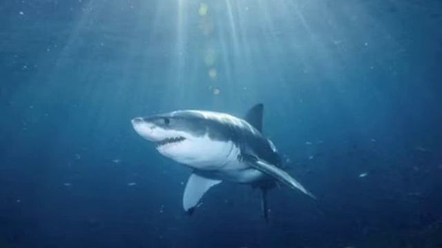 **DJ Sub Verse - The Journey (Progressive Tech Mix) 2014** смотреть онлайн