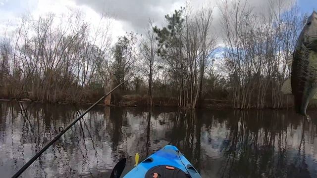 Kayak Rolled Redemption!! #KayakFishing! смотреть онлайн