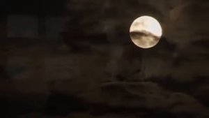 Фристайл, Нина Кирсо   а на небе луна 2001