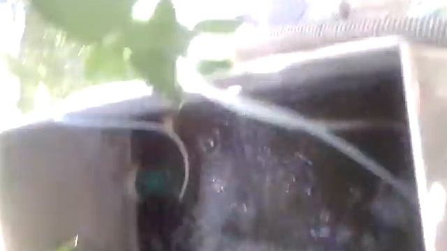 Фильтрация воды в пруду