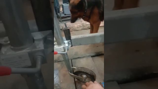 Тюнинг Тофалар смотреть онлайн